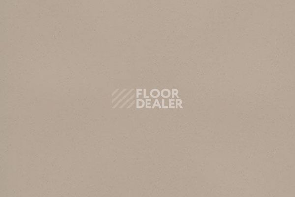 Линолеум FORBO Eternal Colour 40392 cement фото 1 | FLOORDEALER